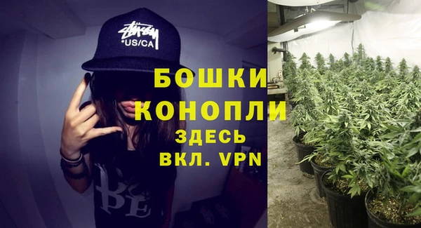 ALPHA PVP Белокуриха