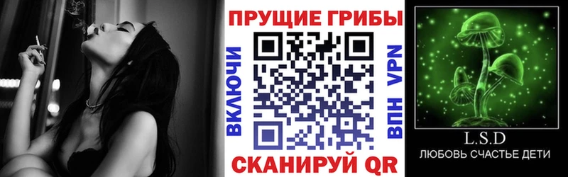 OMG рабочий сайт  Михайловка  Псилоцибиновые грибы прущие грибы 